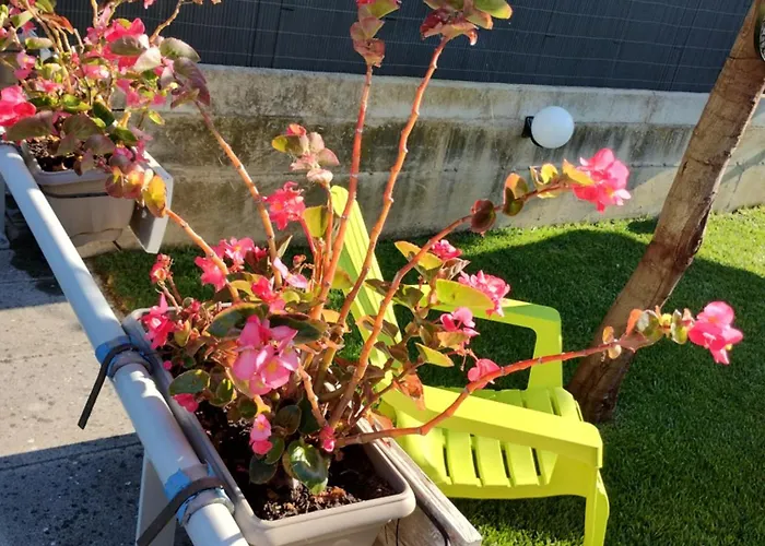 بيت للعطل Dolce Brezza Montesilvano Marina