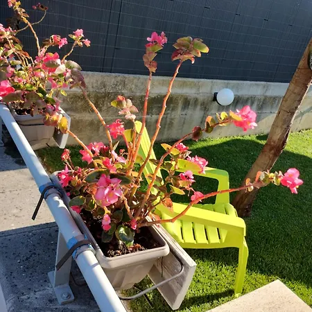 Дом отдыха Dolce Brezza Монтесильвано