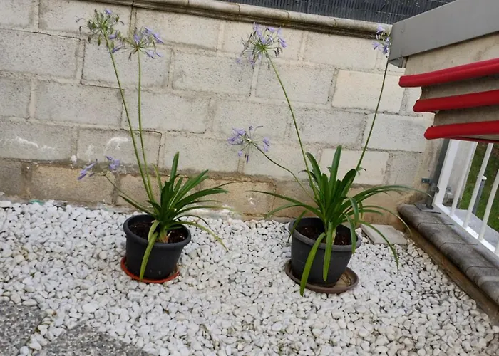 Dolce Brezza Montesilvano Marina